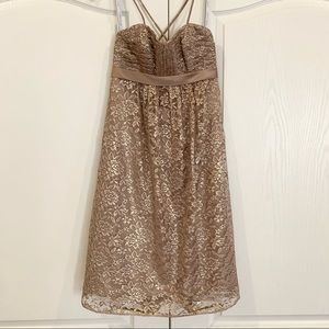 Alfred Angelo Shimmer Lace Cocktail Length Dress